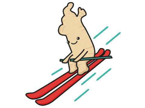 Ski Activa Sticker by Kombuchacha