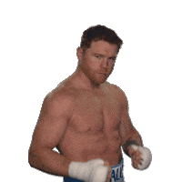 Canelo Alvarez Sport Sticker by SHOWTIME Sports