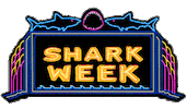 Summer Sharks Sticker by Discovery