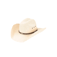 botaselcaporalmx hat moda country cowboy Sticker
