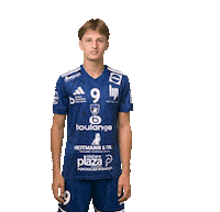 France Hand Sticker by GRAND BESANÇON DOUBS HANDBALL