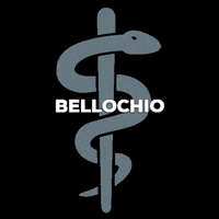 bellochiofoto bellochio GIF