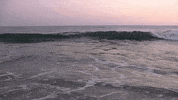 blaanks beach ocean blaanks custom knits GIF