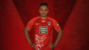 Fck GIF by Bundesliga