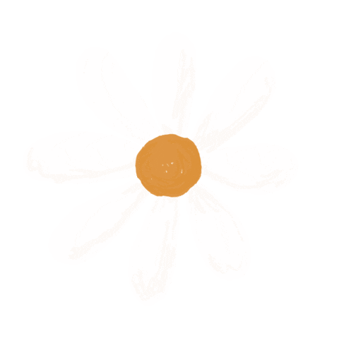 franeco_ giphyupload daisy flor papelaria Sticker