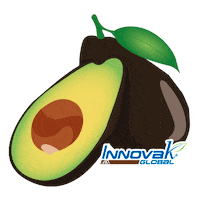 Food Avocado Sticker by Innovak Global