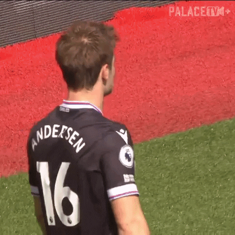 Frustrated Premier League GIF by Crystal Palace Football Club