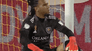 Come On Seriously GIF by Major League Soccer