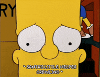 season 5 dog GIF