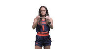 Shades Sticker by Carson-Newman Athletics