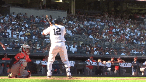 Home Run Sport GIF by MLB