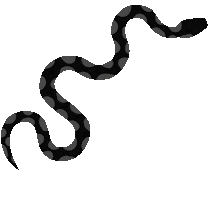 Snake Sticker by Willow Smith
