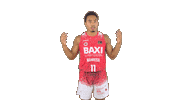 Liga Endesa Basketball Sticker by ACB