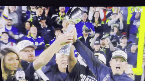 Nfl Superbowl Champions GIF