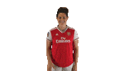 Arsenal Women Wave Sticker by Barclays FAWSL