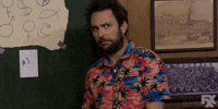 charlie day dog GIF by It's Always Sunny in Philadelphia
