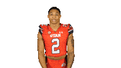 Celebrate Utah Utes Sticker by Utah Football