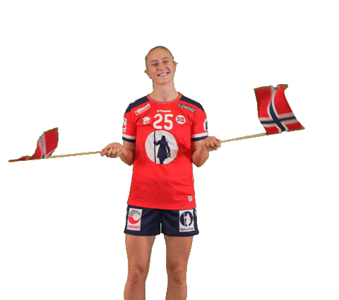 Handball Nhf Sticker by Norges Håndballforbund