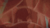 Short Film Love GIF by Krisstian