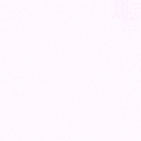 Beach Volleyball GIF by LSU Tigers