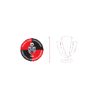 Liga 1 Football Sticker by Superliga Romania