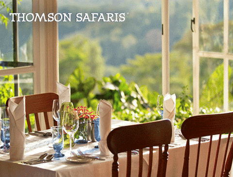 alisonriley829f giphyupload GIF