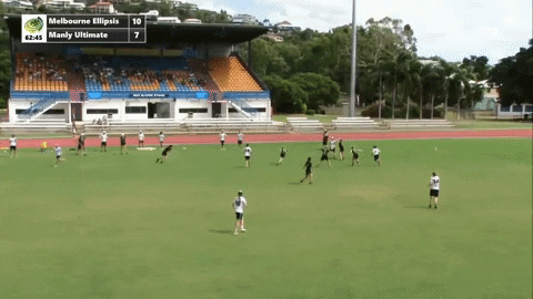 flikulti ultimate frisbee flik GIF