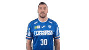 Handball-Bundesliga Handball Sticker by LIQUI MOLY HBL