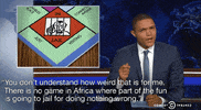 the daily show television GIF