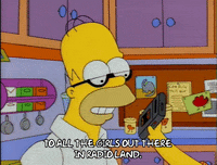homer simpson GIF
