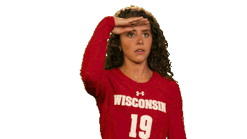 Looking Wisconsin Volleyball Sticker by Wisconsin Badgers