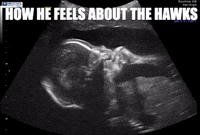 hawkeyes cyclones iowa hawkeyes iowa state go cyclones GIF