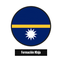Flag Bandera Sticker by Formación Ninja