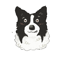 Oda Sticker