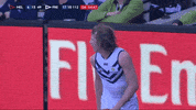 freodockers fremantle dockers freo fremantle dockers GIF