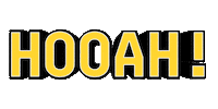 Celebrating Lets Go Sticker by NationalGuard