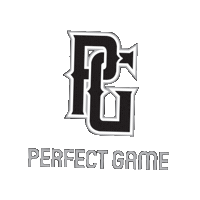 Perfect Game Baseball Sticker by Ozball