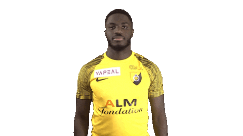 SRDOfficiel football celebration emotion srd Sticker