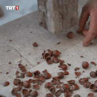 Look Energy GIF by TRT