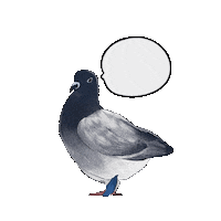 Song Joong Ki Bird Sticker