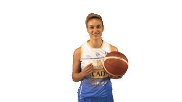 sedisbasquet ari pujol cadilaseu sedis Sticker