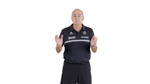 Liga Endesa Applause Sticker by ACB