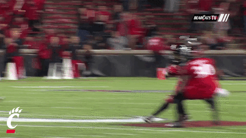 cincinnati bearcats celebration GIF by University of Cincinnati Athletics
