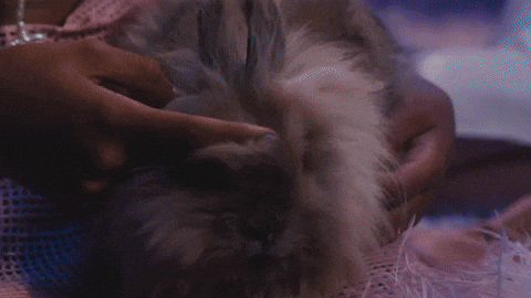 Softly GIF by Amber Mark