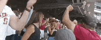 College World Series Baseball GIF by NCAA Championships