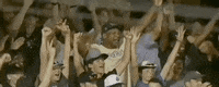 College World Series Baseball GIF by NCAA Championships