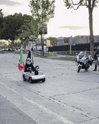 Police Dog GIF by SWAGGY WOLFDOG