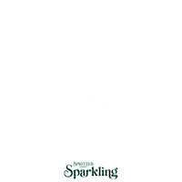 Ramadan Sparkling Sticker by spritzer