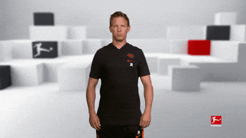 Posing Line Up GIF by Bundesliga