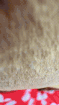 Dreamworks Badguys GIF by Youtooz